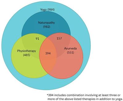 Characteristics of patients who use yoga for pain management in Indian yoga and naturopathy settings: a retrospective review of electronic medical records